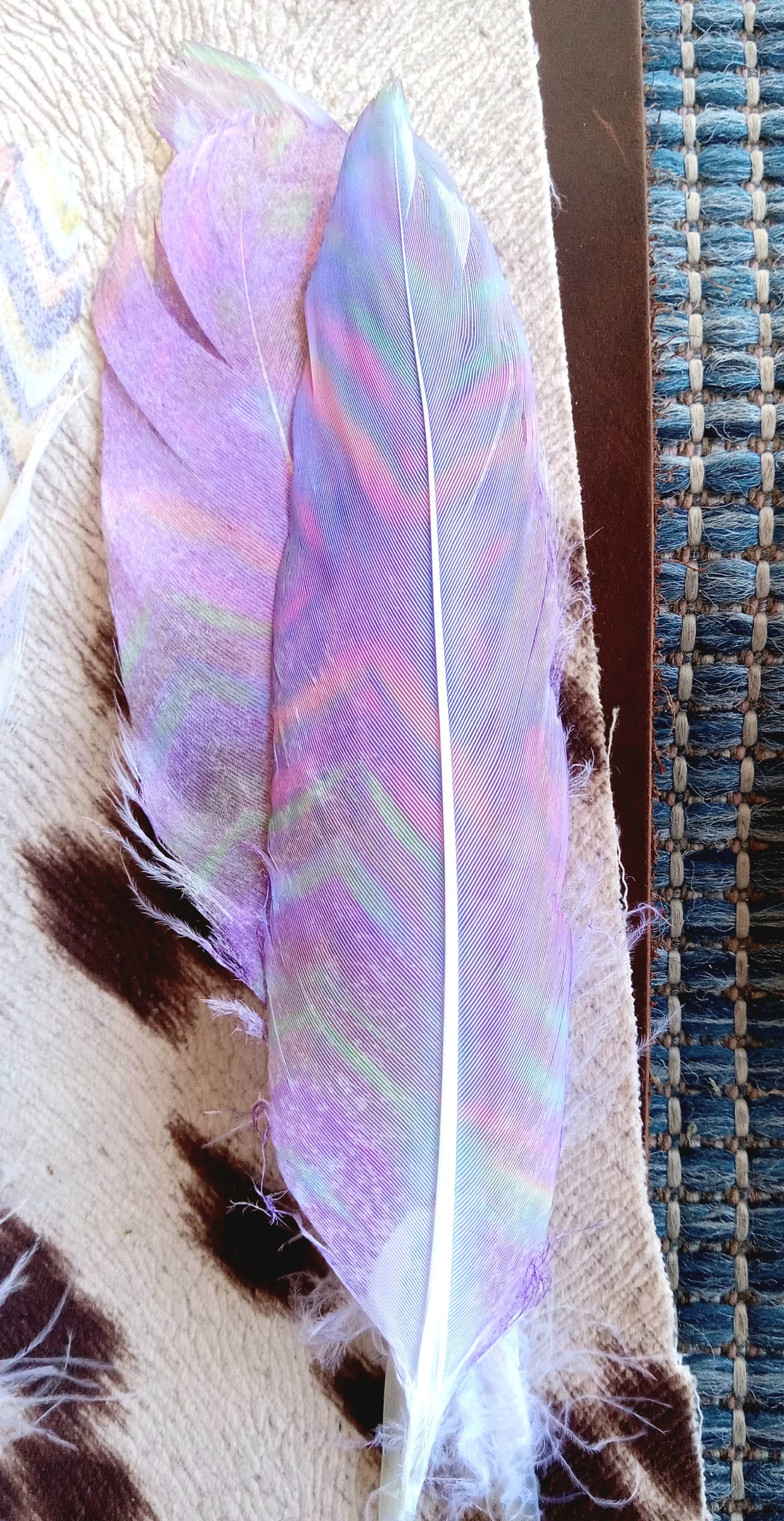 Printed Hat Feathers #1101