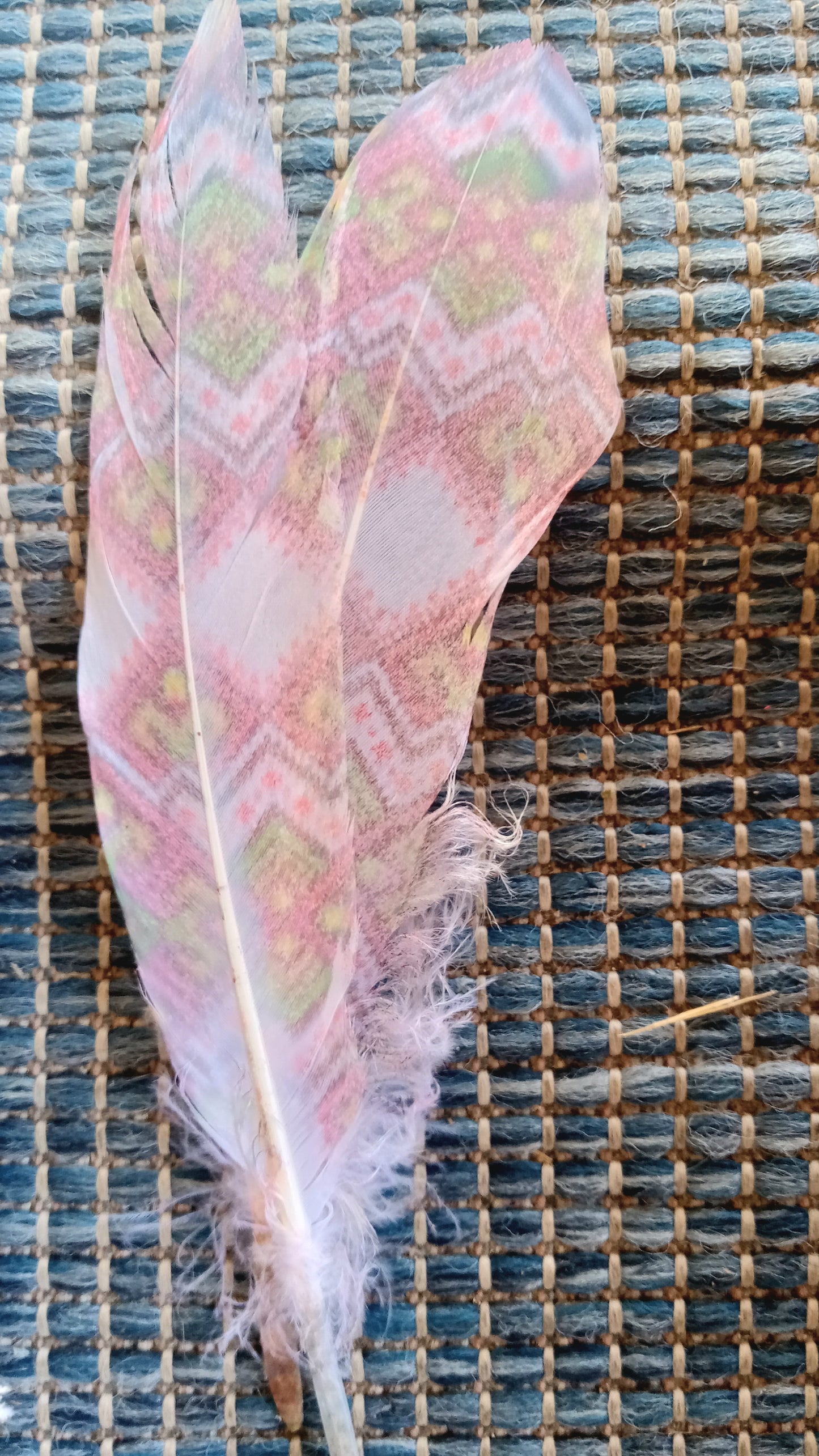 Printed Hat Feathers #1101