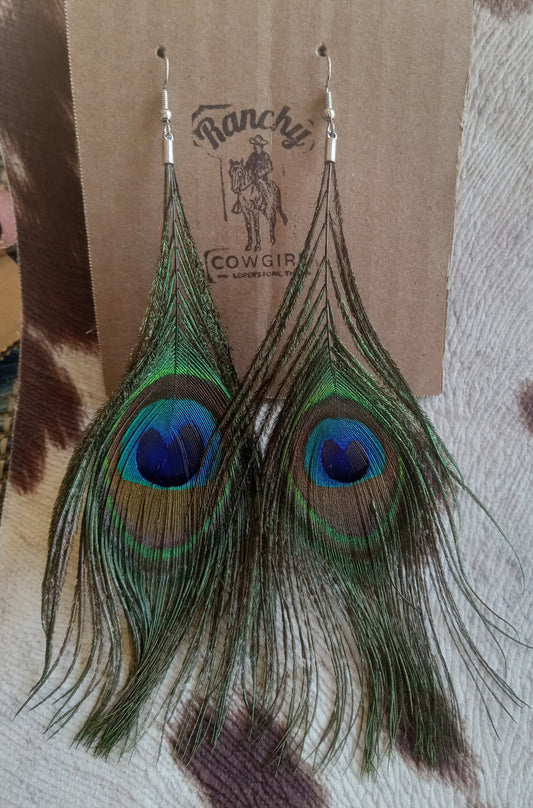 Peacock Feather Dangle Earrings #1116